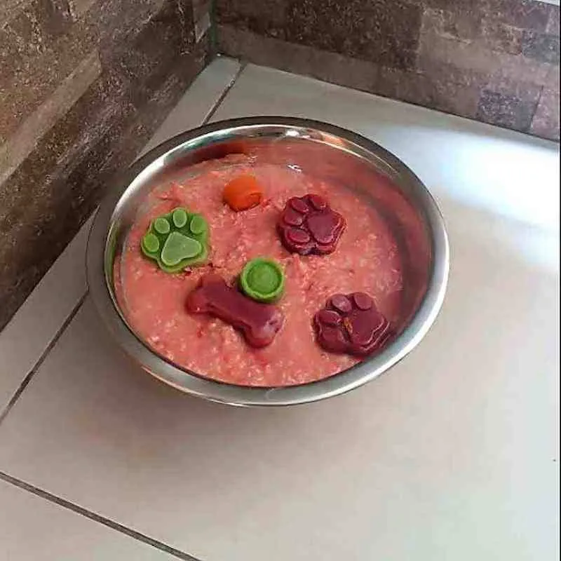 Porción de dieta BARF de CRUBO servida en un plato para perros